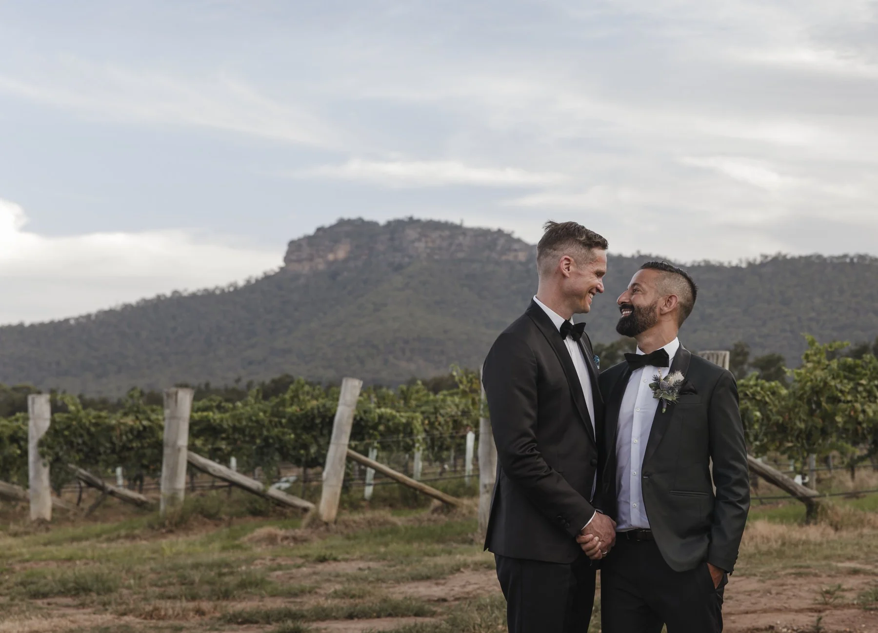Margan wines wedding 1357.JPG