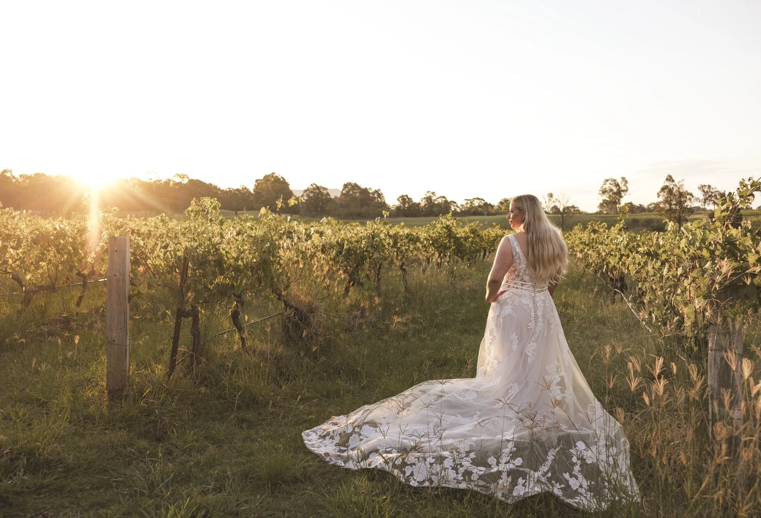  hunter Valley  6800.JPG