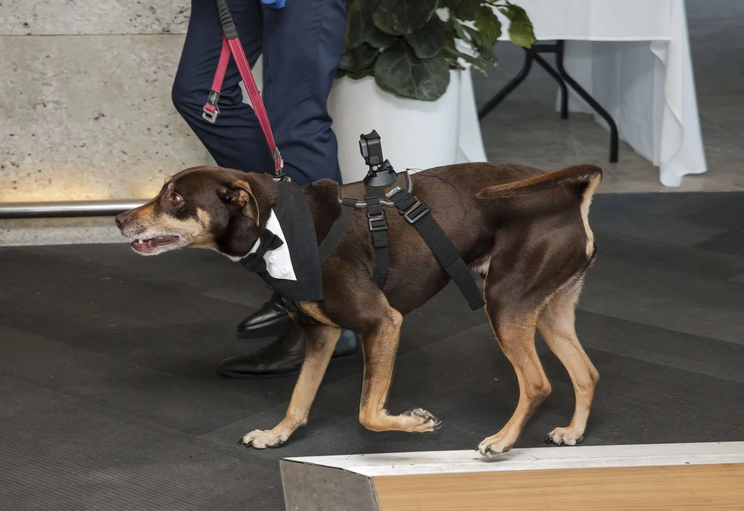 fort scratchley 405.JPG