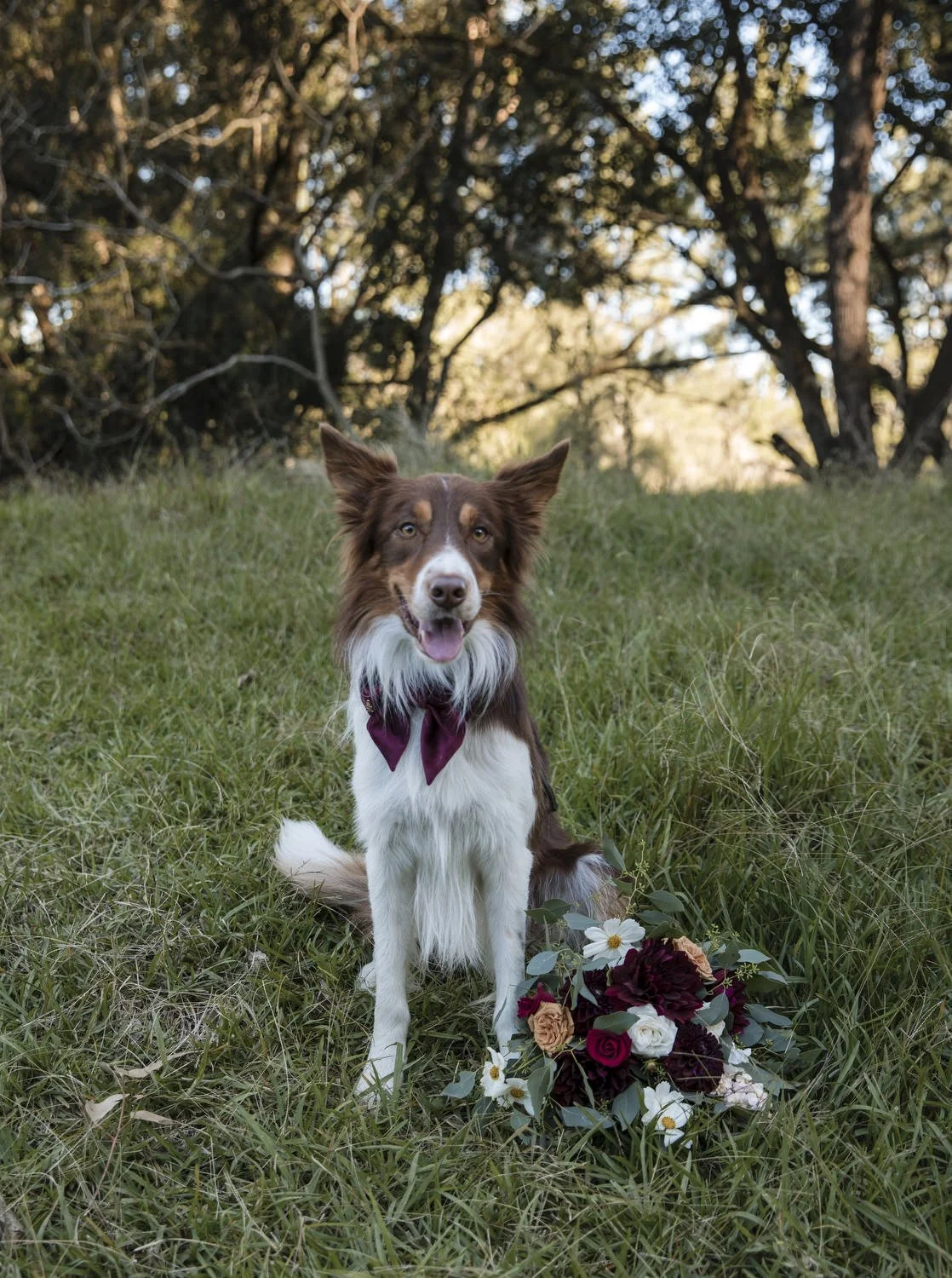 dungog wedding  0169.JPG