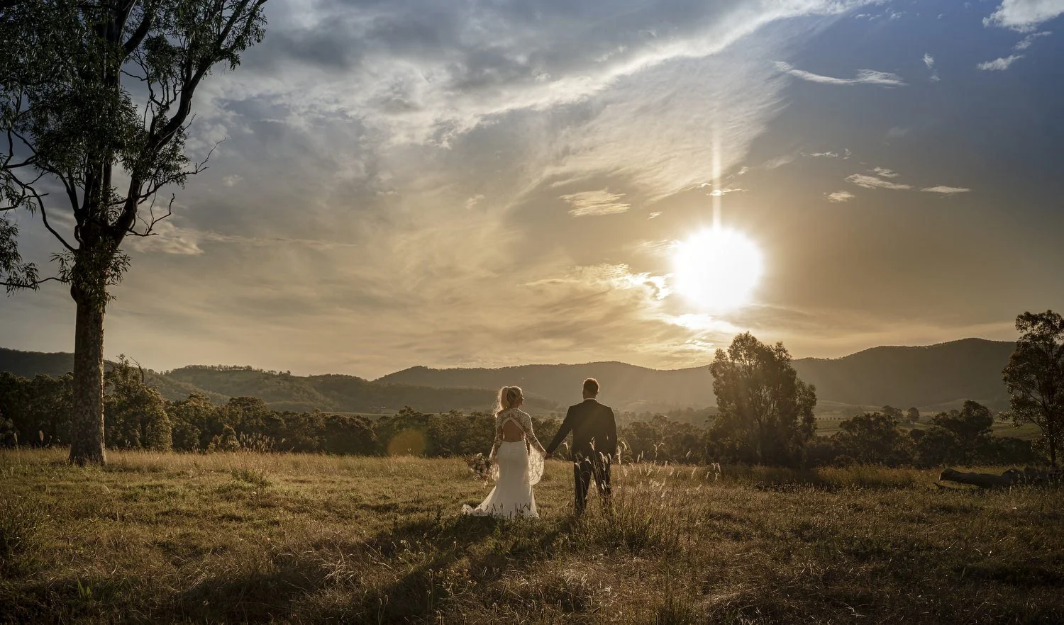  hunter Valley  6793.JPG