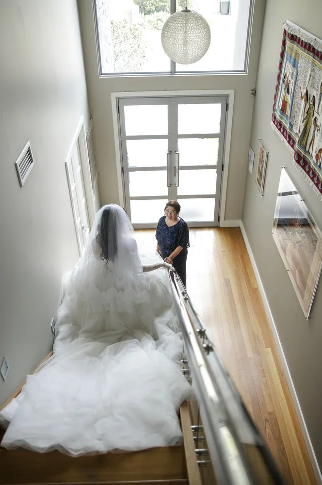 iron bark Hunter Valley 012.JPG