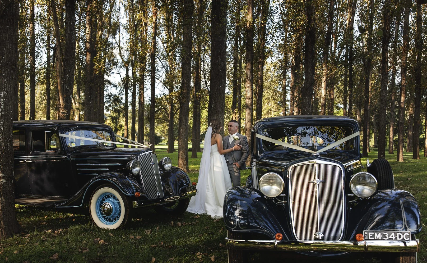 Tocal paterson 1158.JPG