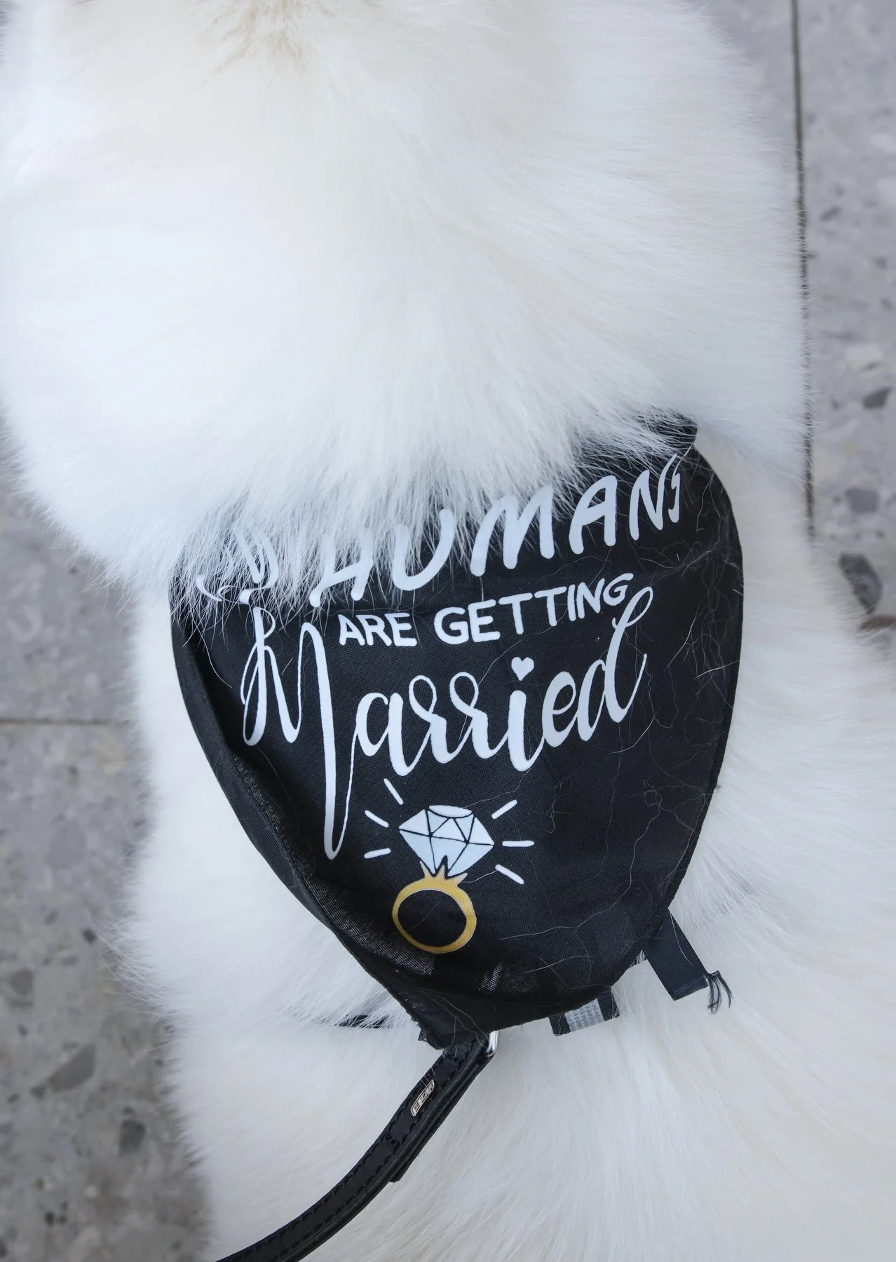 Belmont 16’s  471.JPG