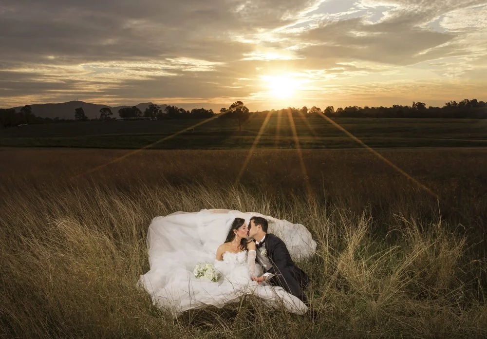 iron bark Hunter Valley 042.JPG