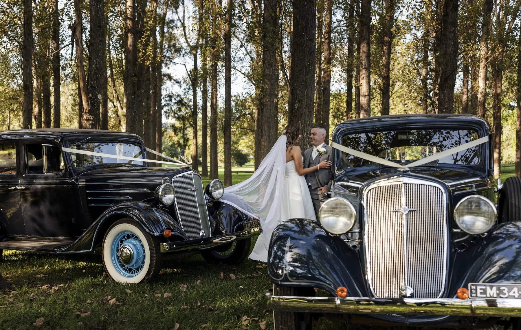 Tocal paterson 1157.JPG