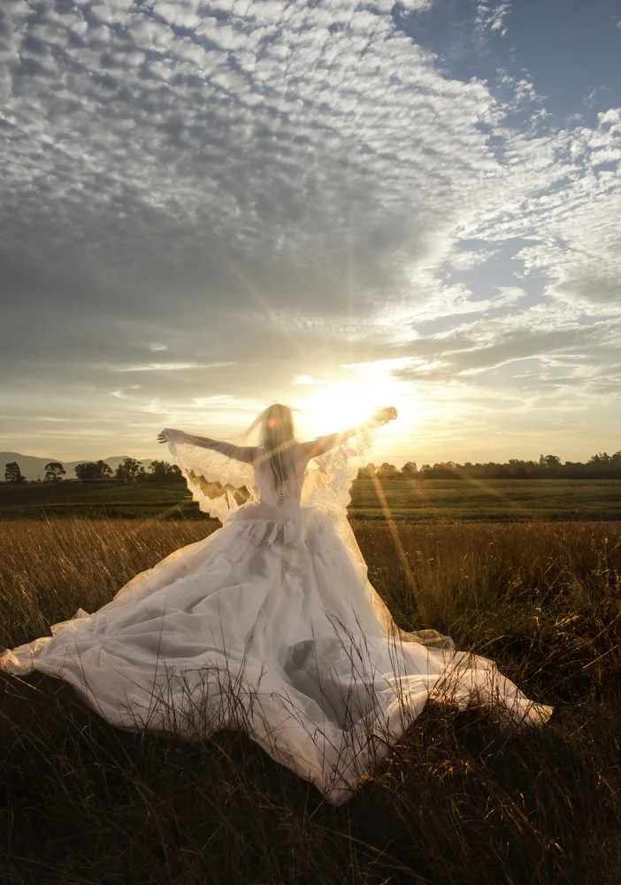 iron bark Hunter Valley 035.JPG