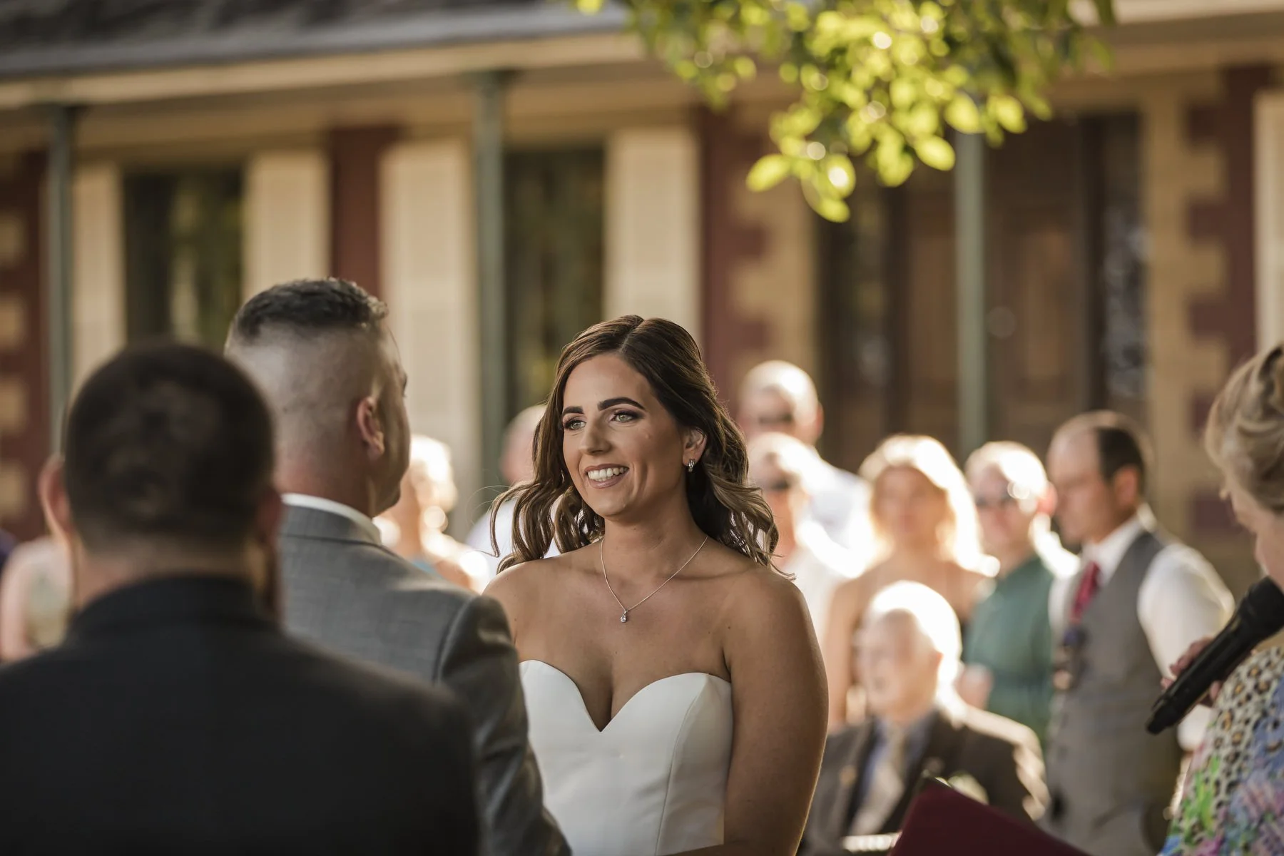 Tocal paterson 1142.JPG