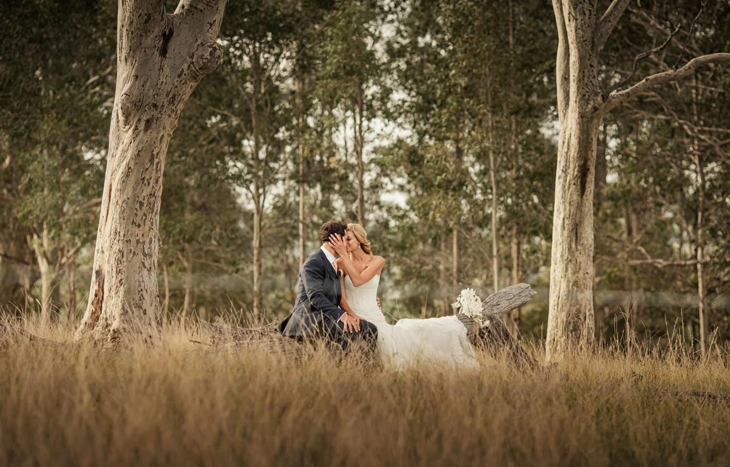 Hunter Valley photography 6491.JPG