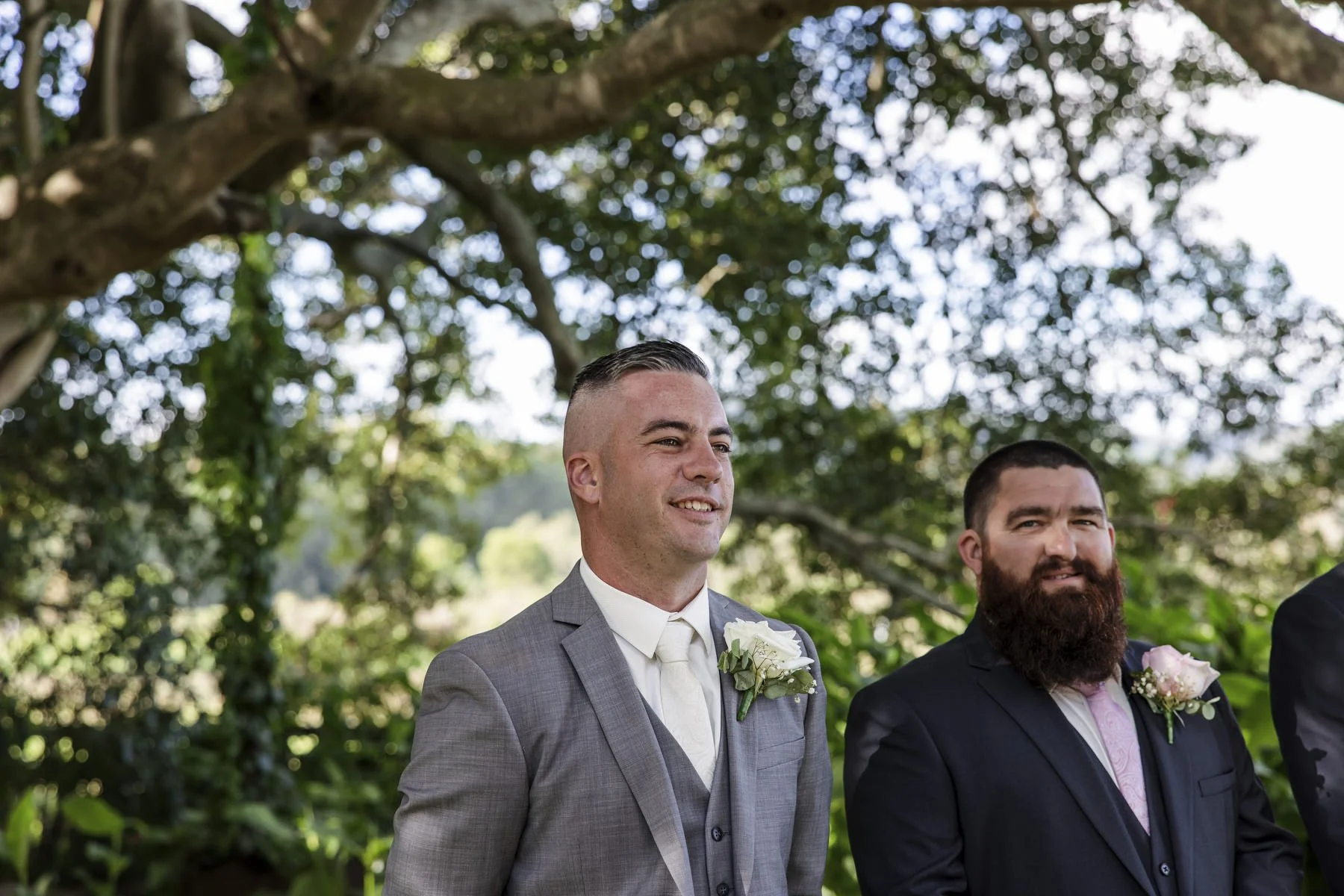 Tocal paterson 1134.JPG