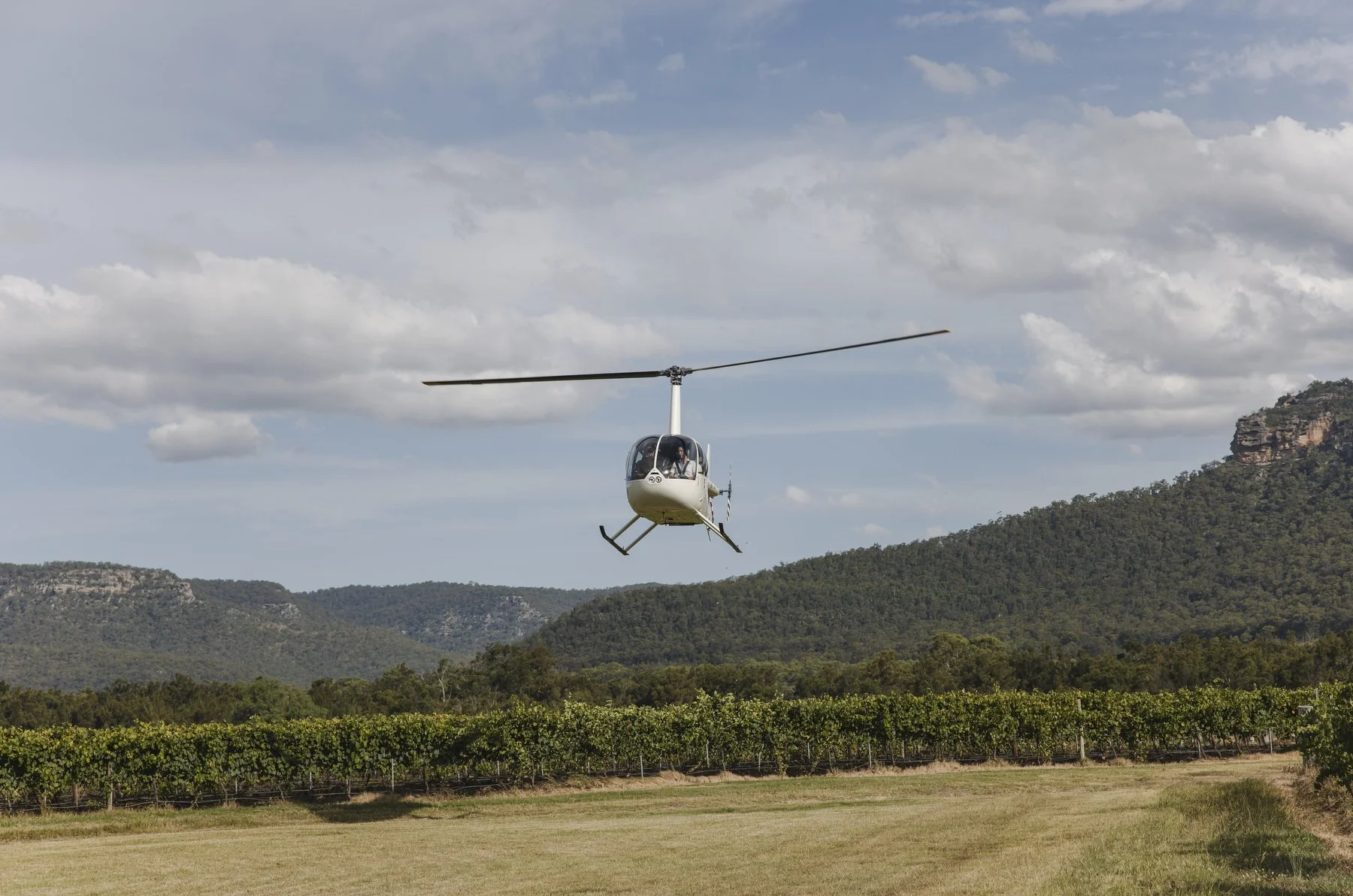 Margan wines wedding 1320.JPG