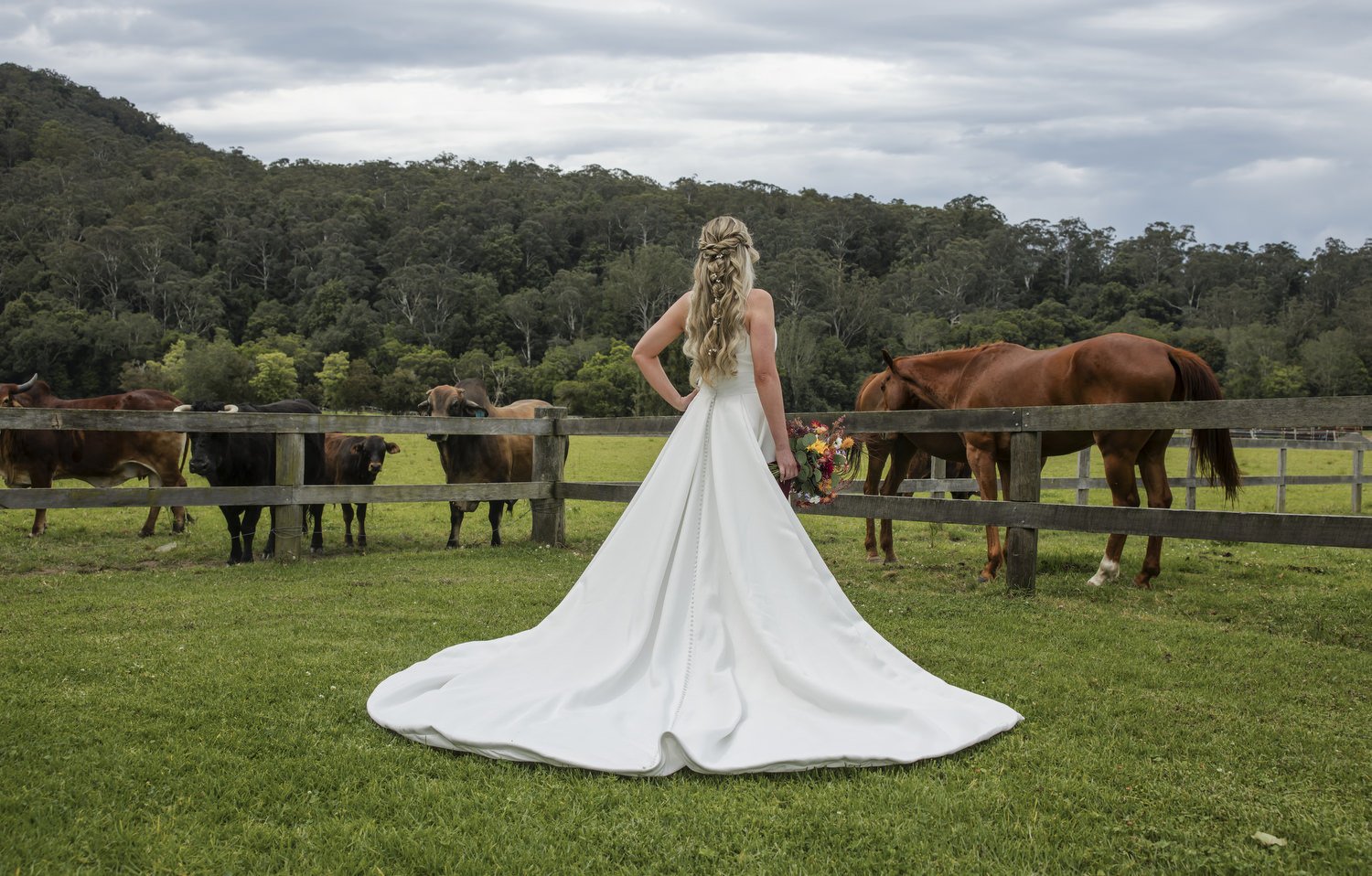 kNGY GARDENS 308.JPG