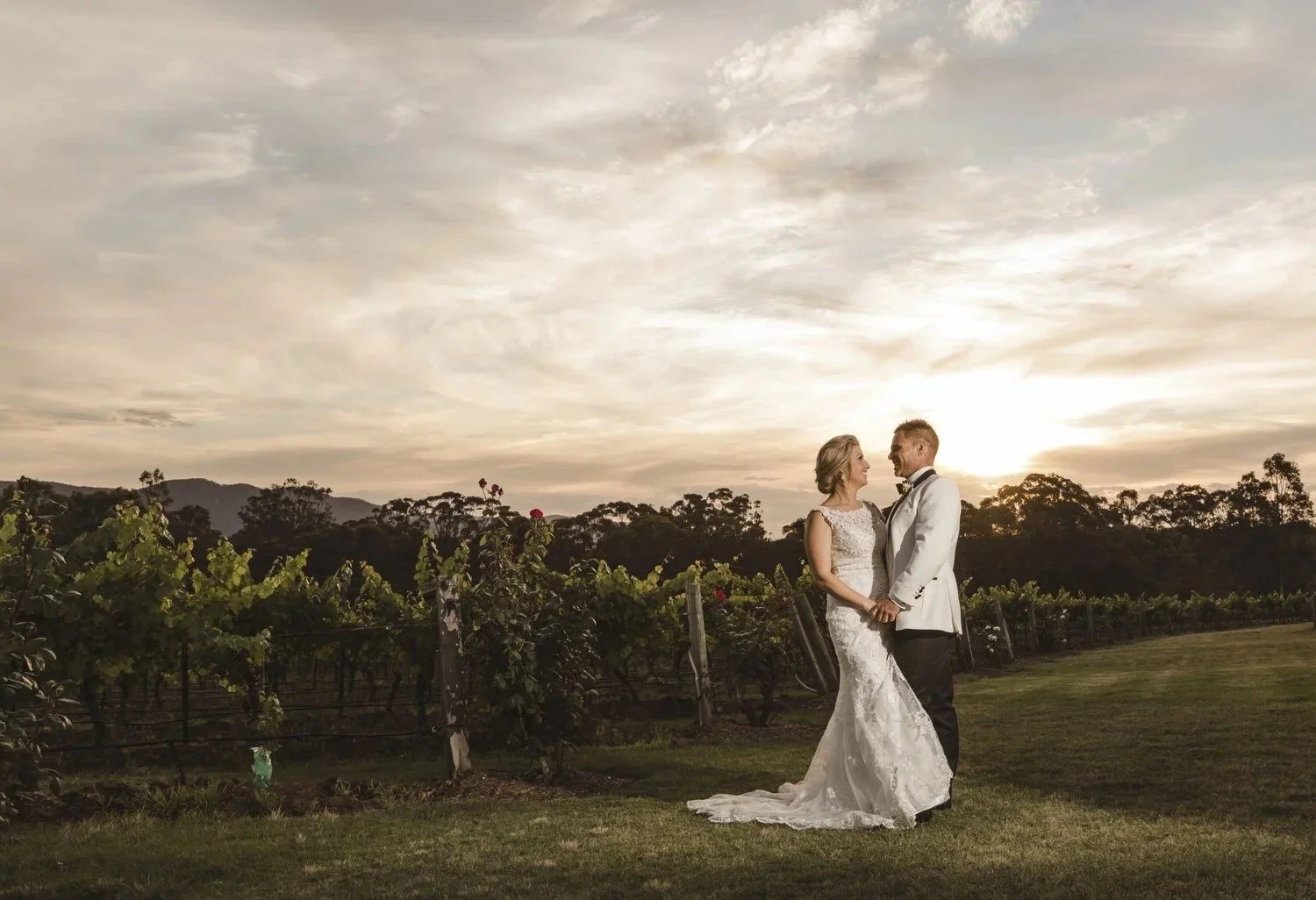 Couple at sunset over the vineyard rows, Spicers Vineyards Estate, Pokolbin
