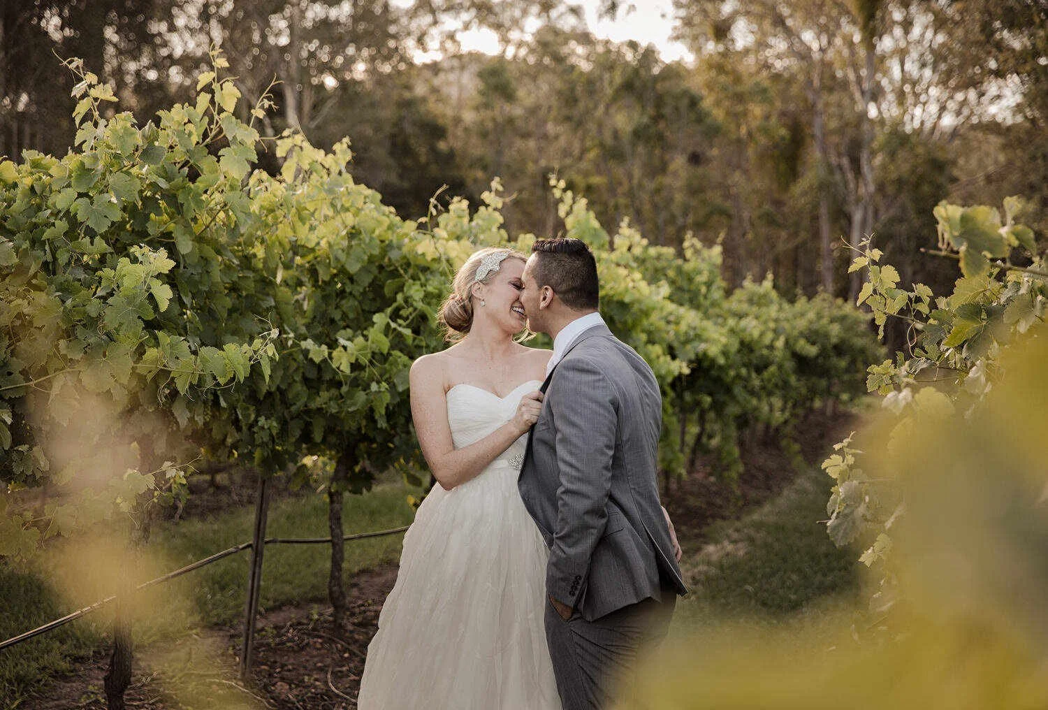 Bride and groom embracing in a vineyard setting, surrounded by lush green grapevines.