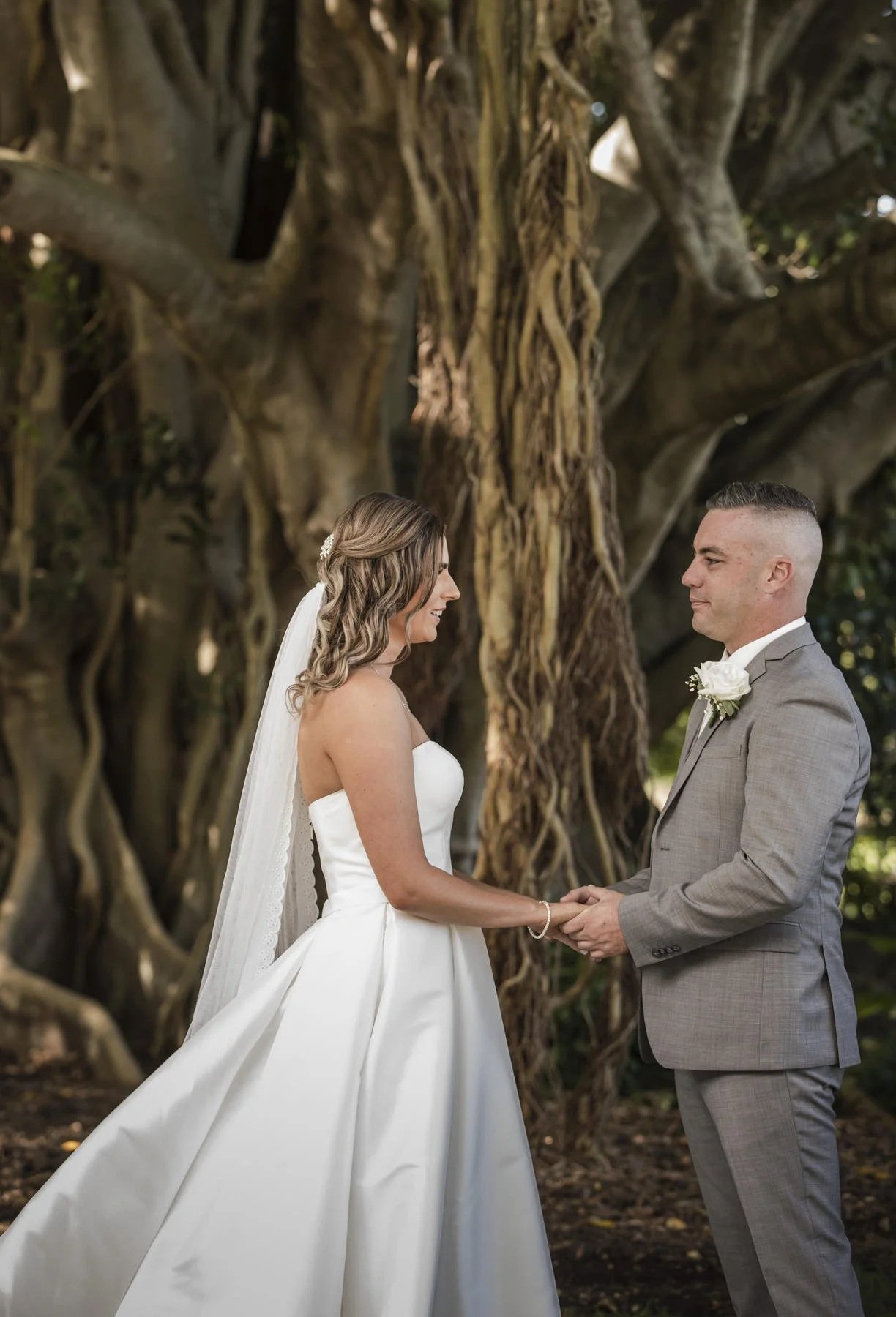 Tocal paterson 1138.JPG