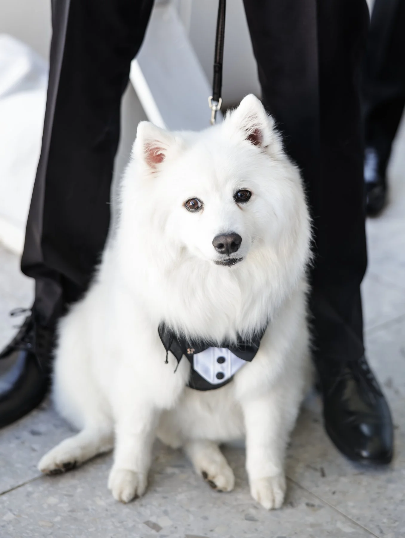 Belmont 16’s  475.JPG