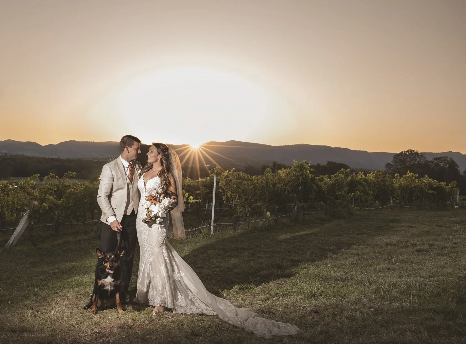  hunter Valley  6753.JPG