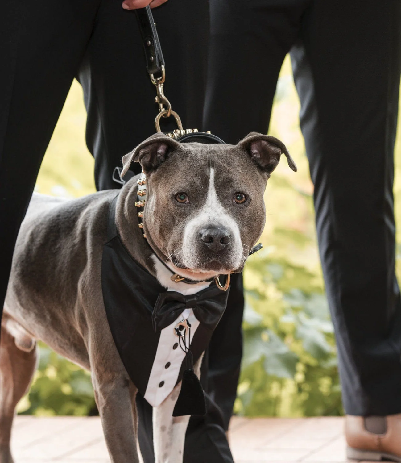  hunter Valley  6740.JPG