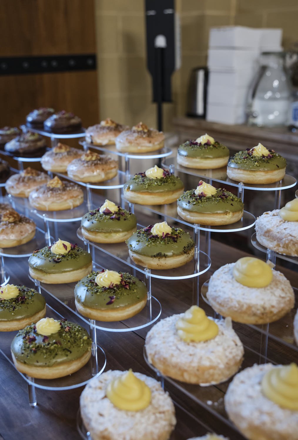 kNGY GARDENS 339.JPG