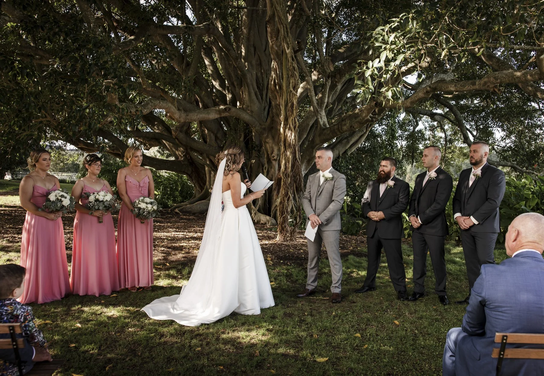 Tocal paterson 1141.JPG