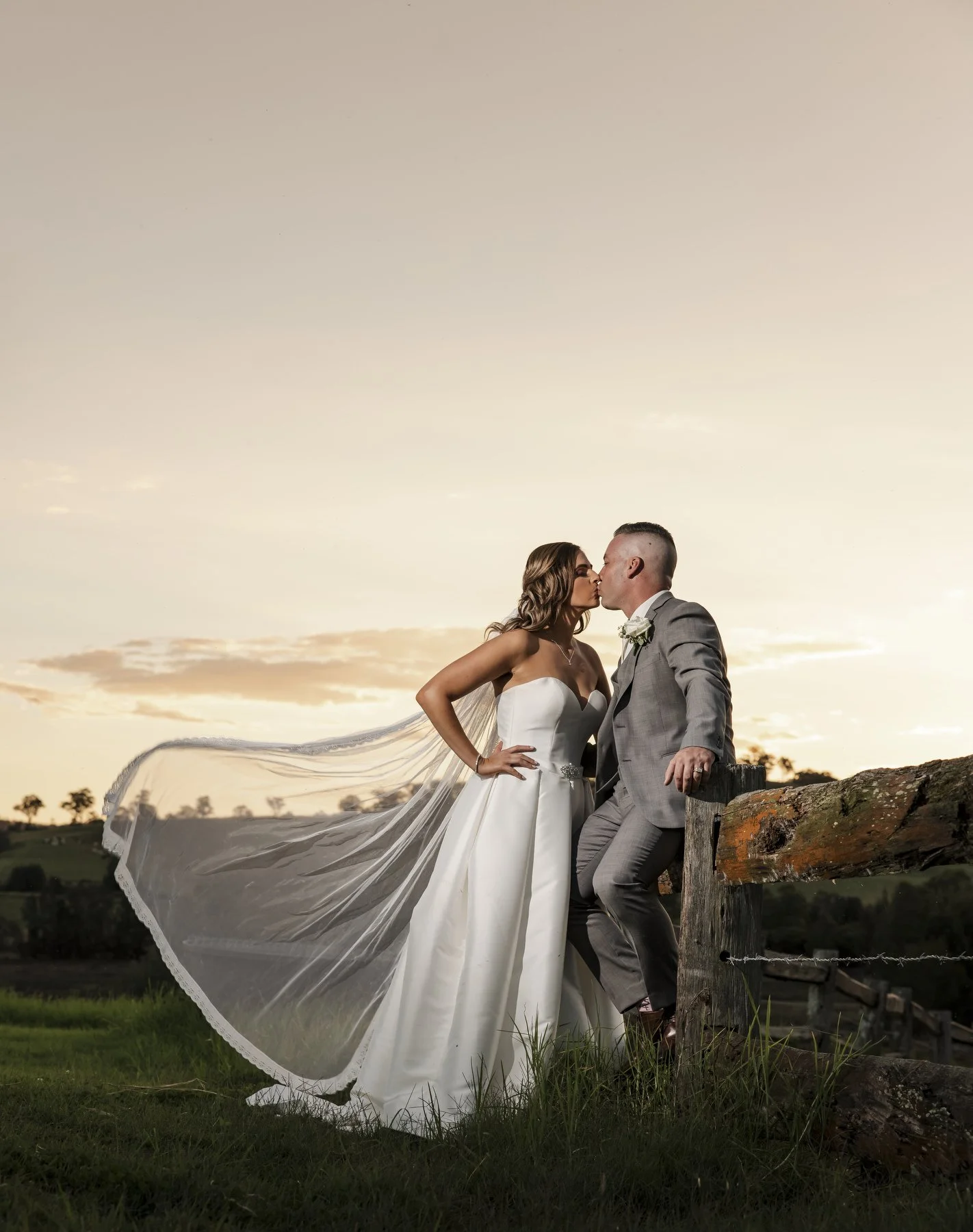 Tocal paterson 1186.JPG