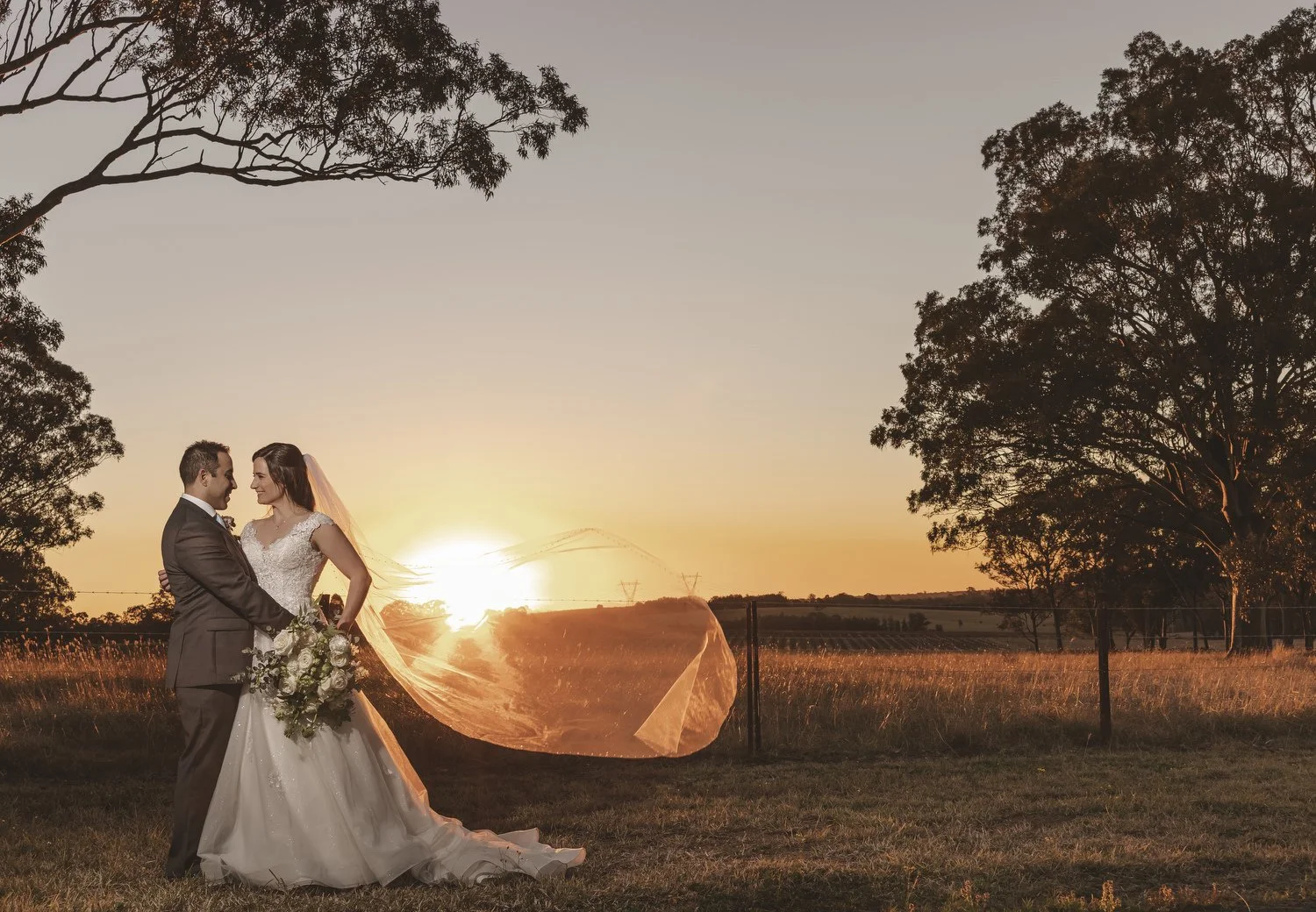  hunter Valley  6735.JPG