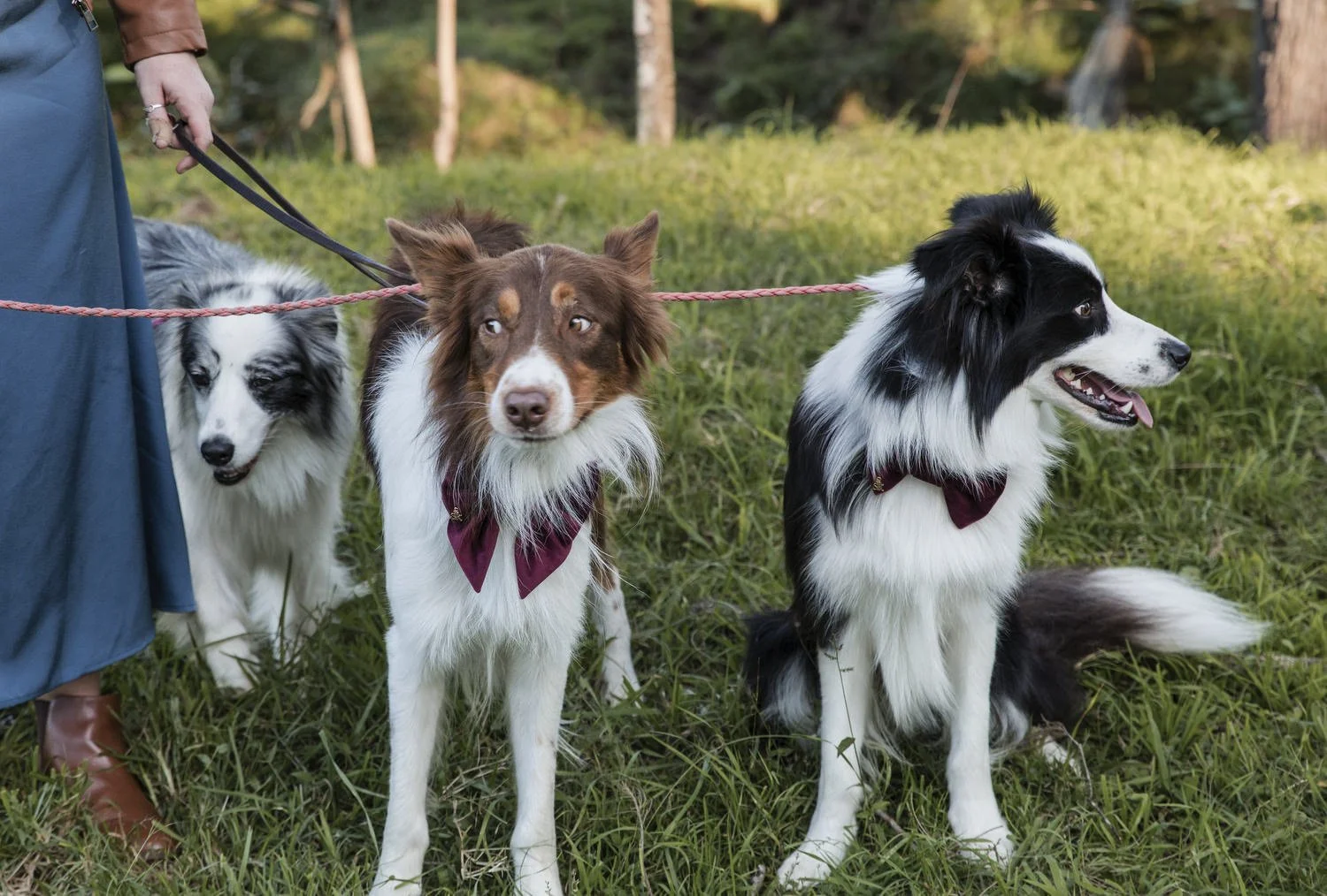 dungog wedding  0155.JPG