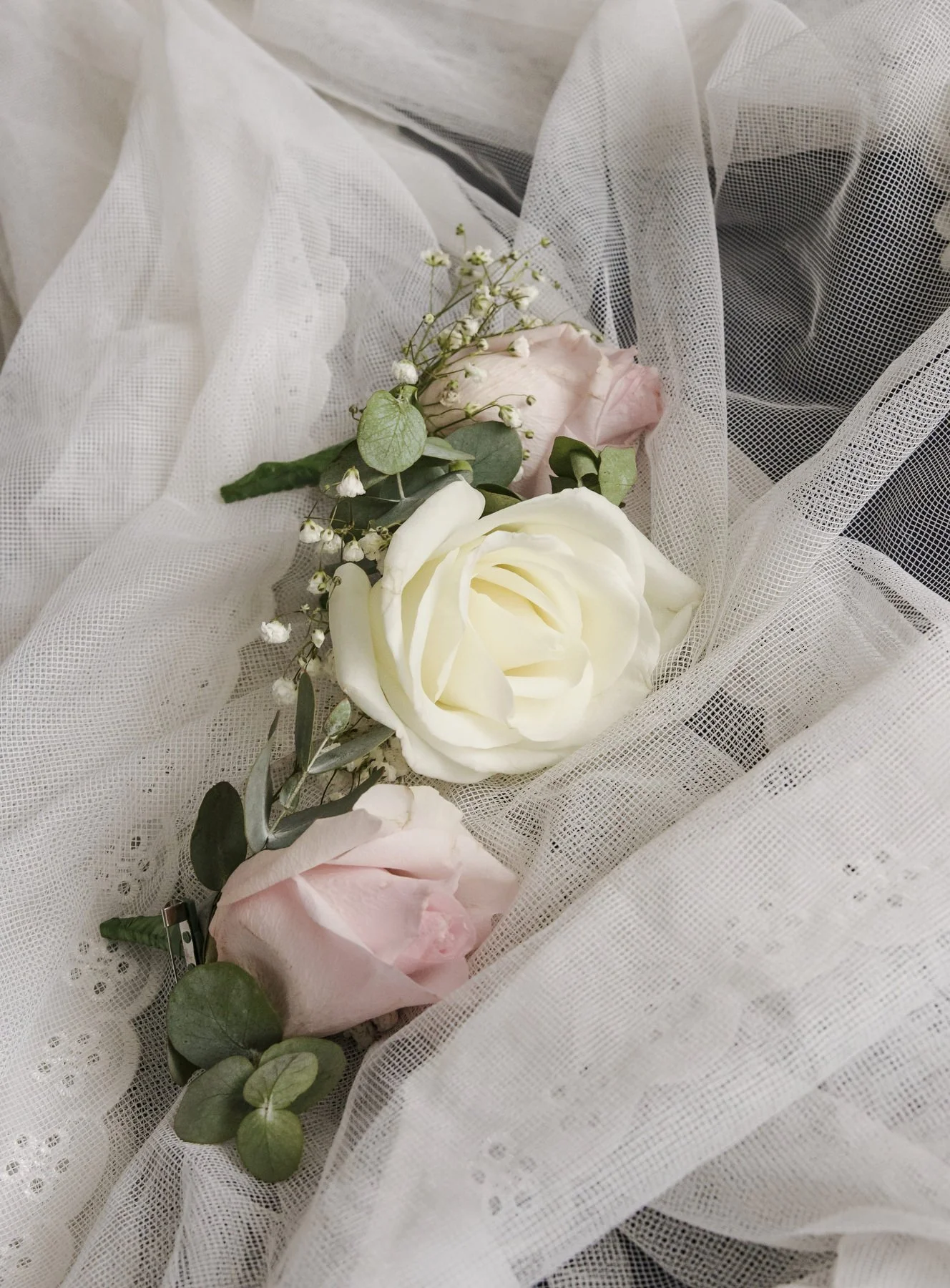 Tocal paterson 1122.JPG