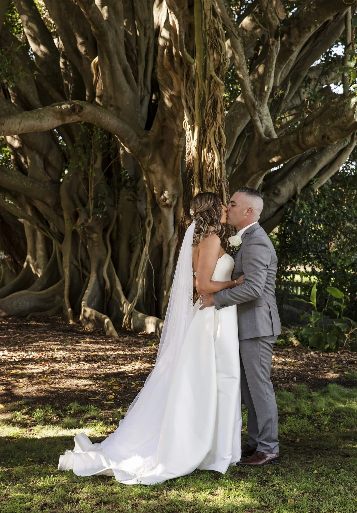 Tocal paterson 1143.JPG