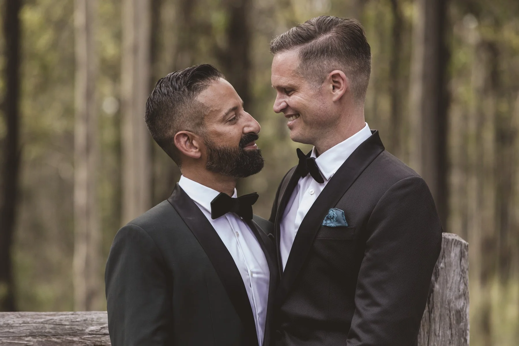 Margan wines wedding 1311.JPG