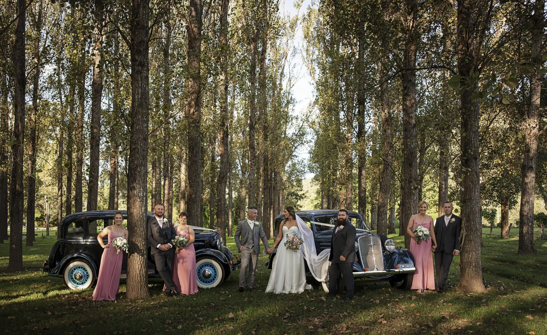 Tocal paterson 1156.JPG