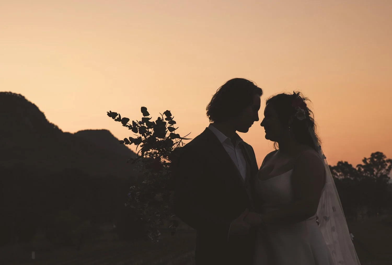  hunter Valley  6768.JPG