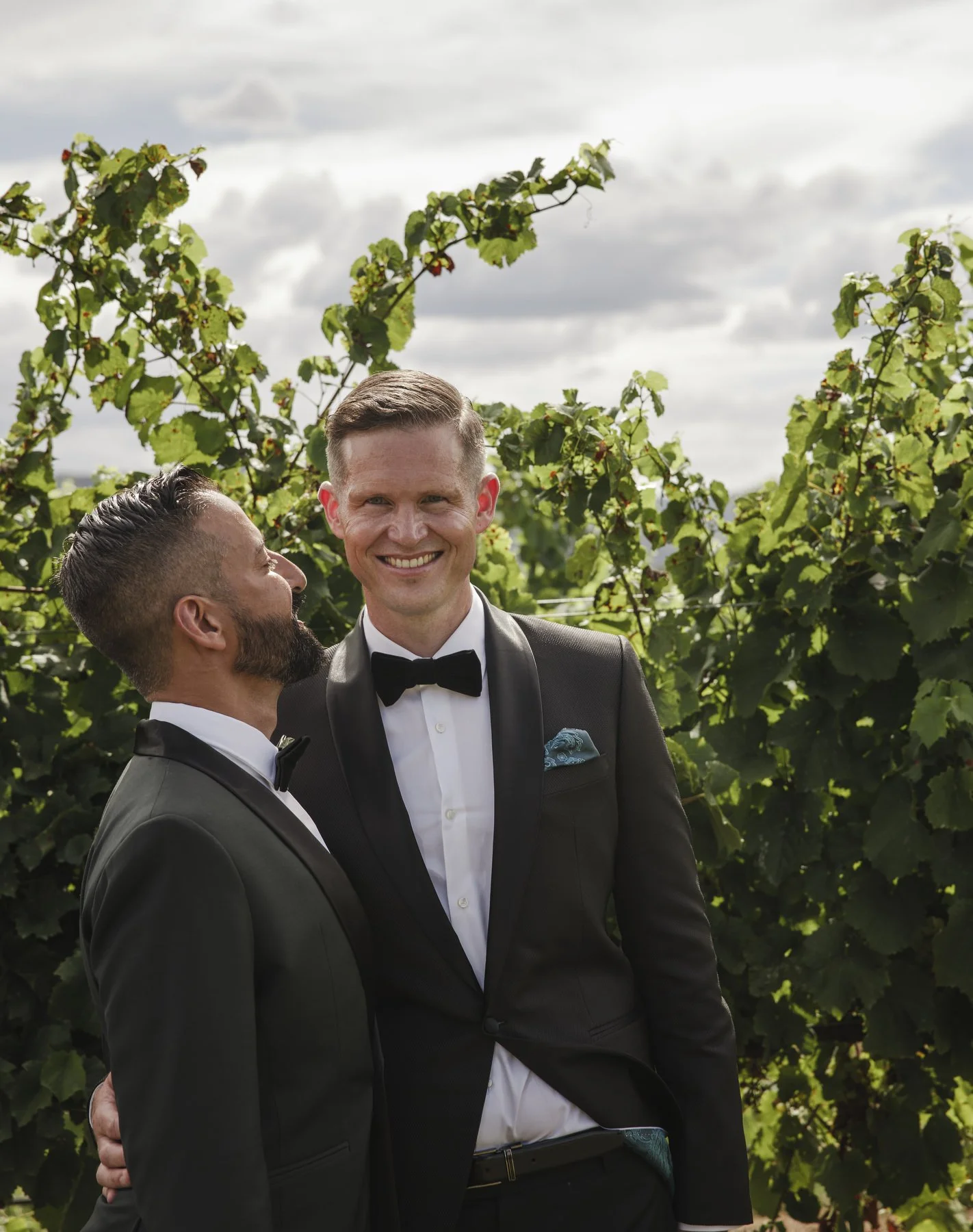 Margan wines wedding 1307.JPG