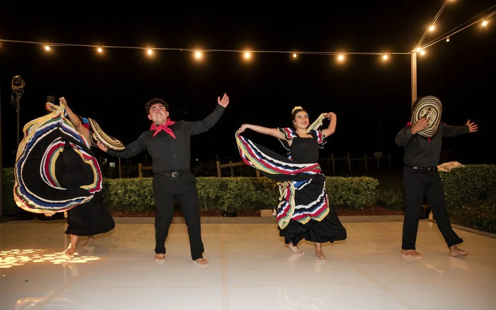 iron bark Hunter Valley 054.JPG