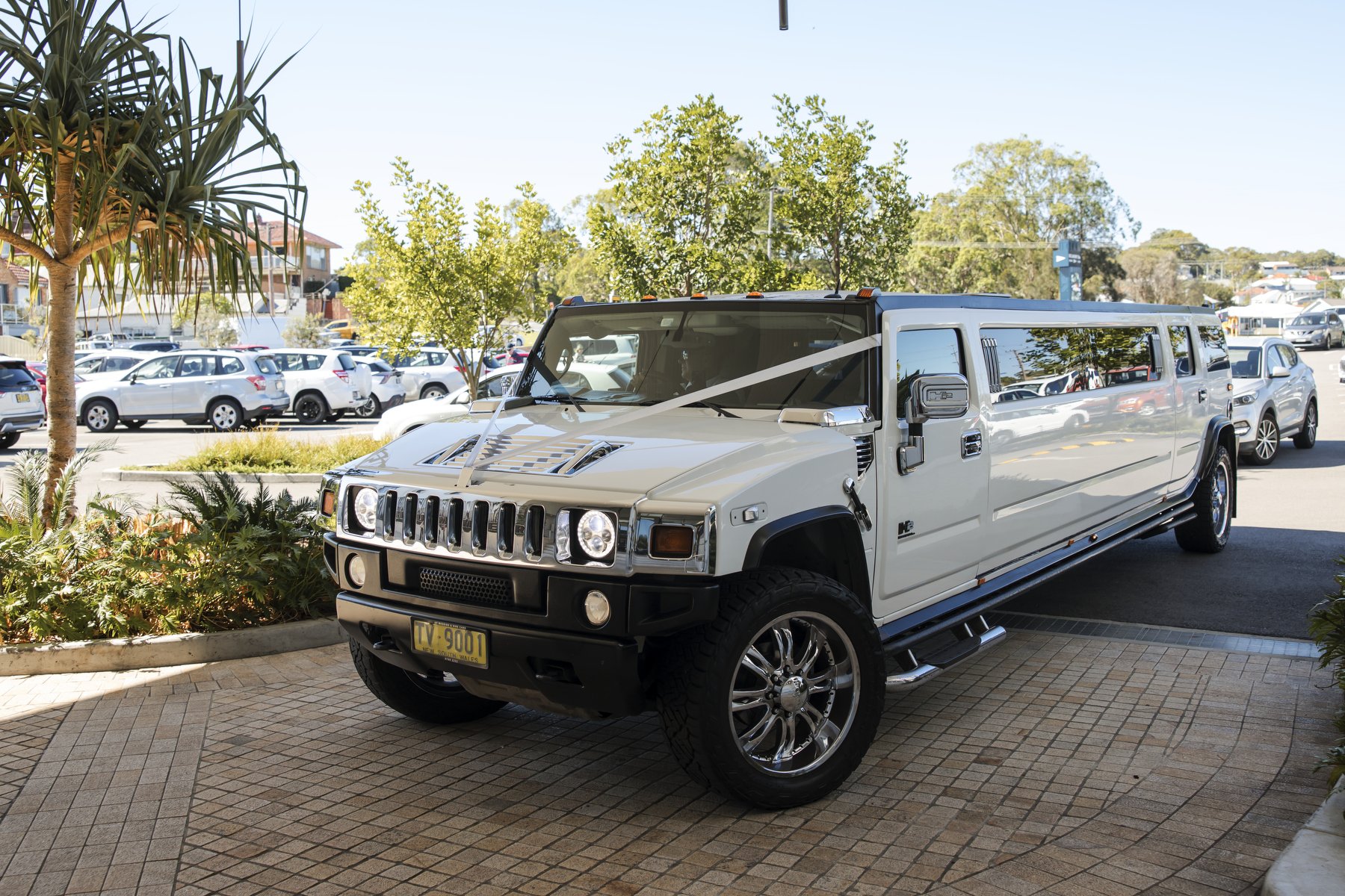 Belmont 16’s  472.JPG