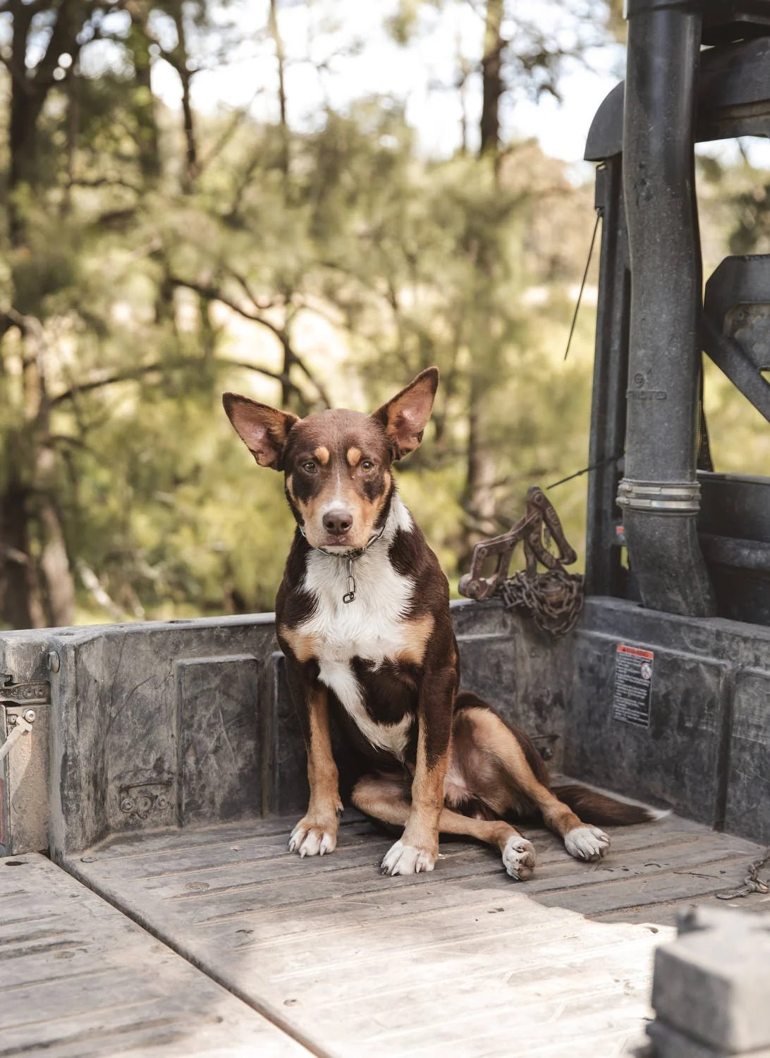 dungog wedding  0126.JPG