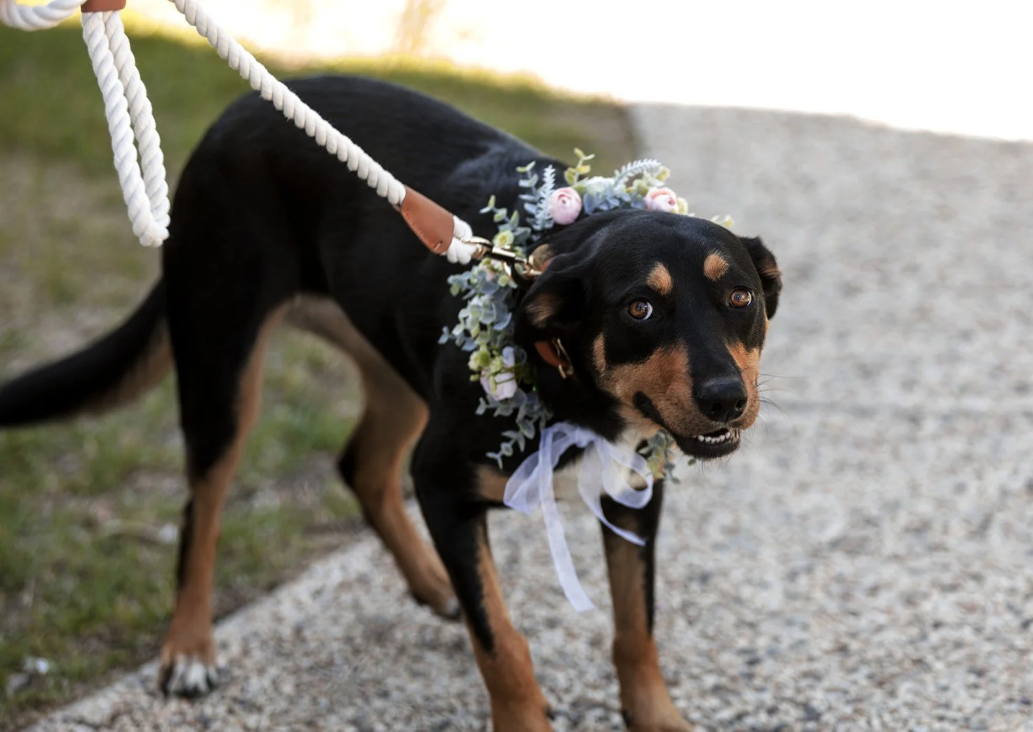  hunter Valley  6747.JPG