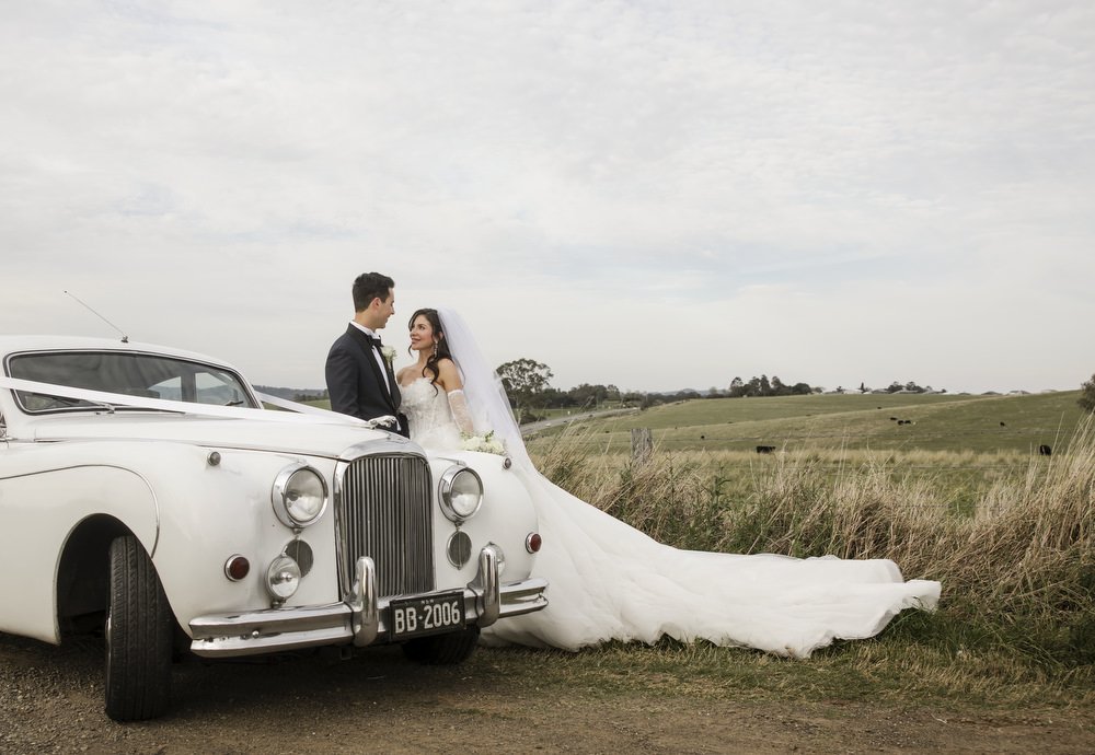 iron bark Hunter Valley 023.JPG