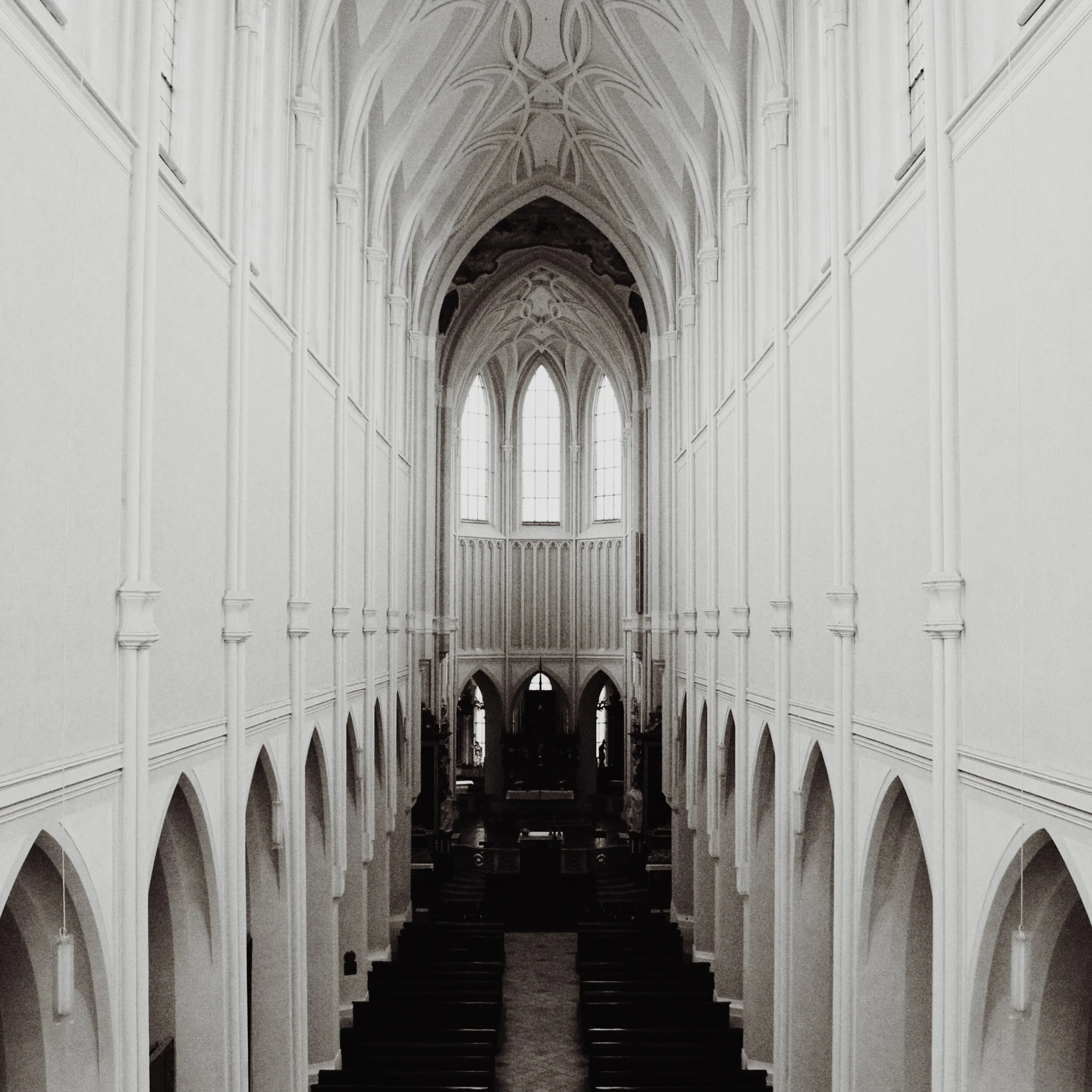 the cathedral