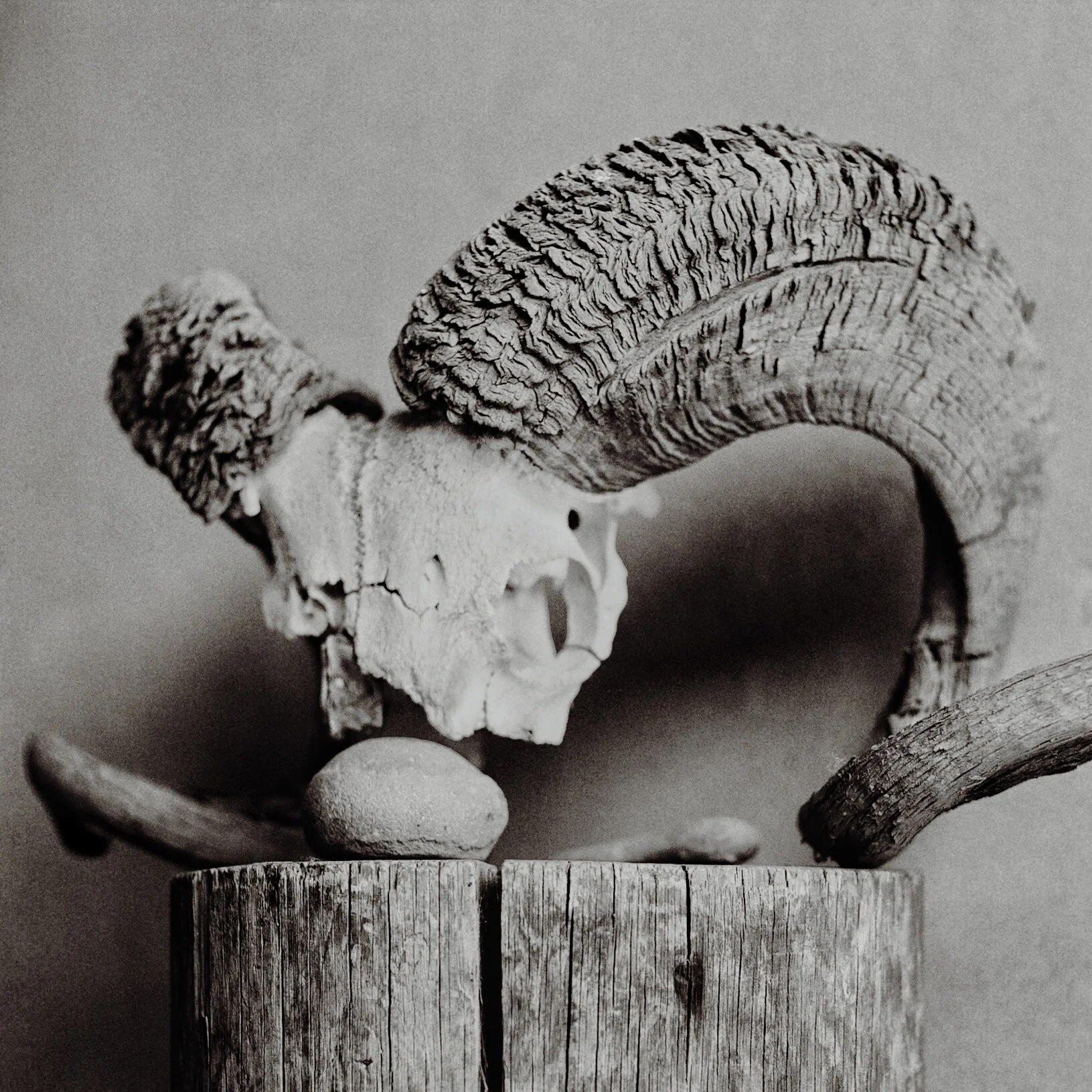 JPEG image-80F7E0EC70E7-1.jpeg