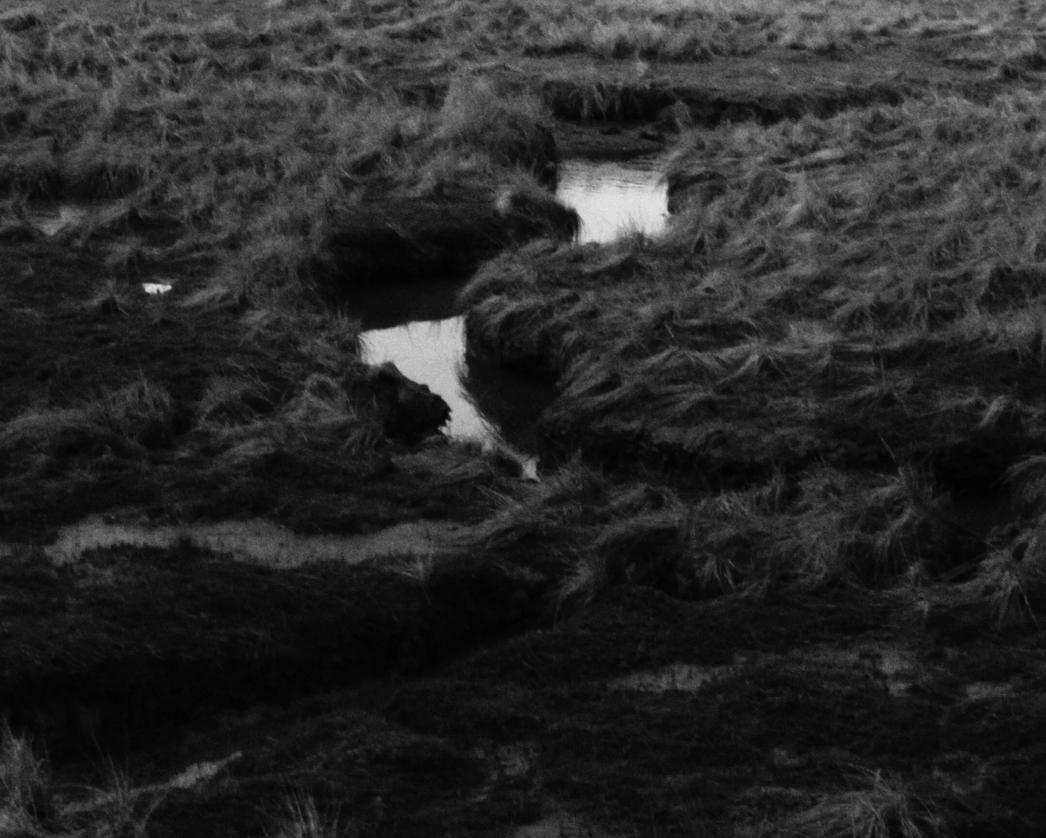 JPEG image-6BF1467734BF-1.jpeg