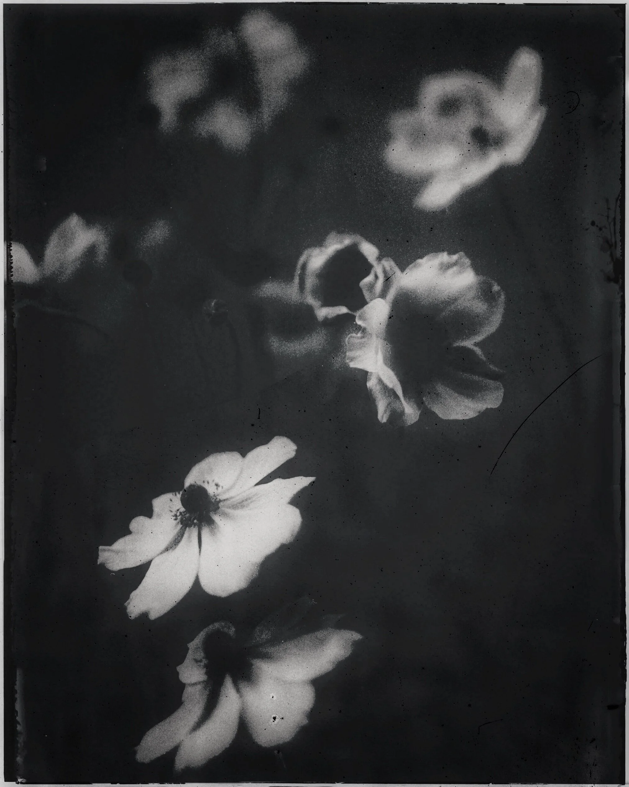 JPEG image-277C72FCA9DB-1.jpeg