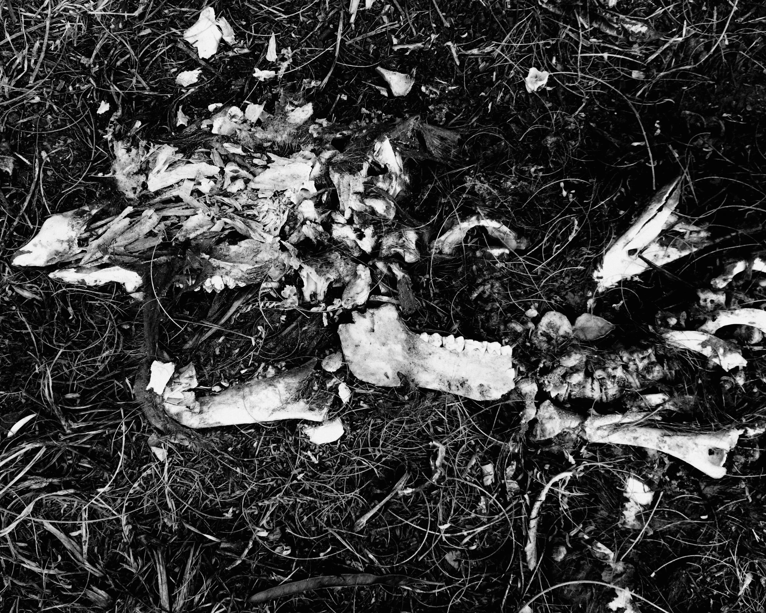 JPEG image-DC12D0FC5951-1.jpeg