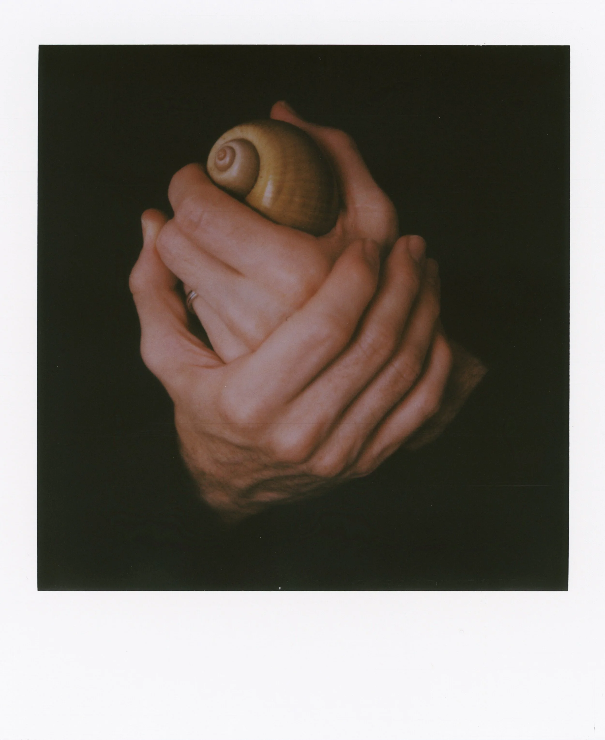 JPEG image-4EBE59C204CD-1.jpeg