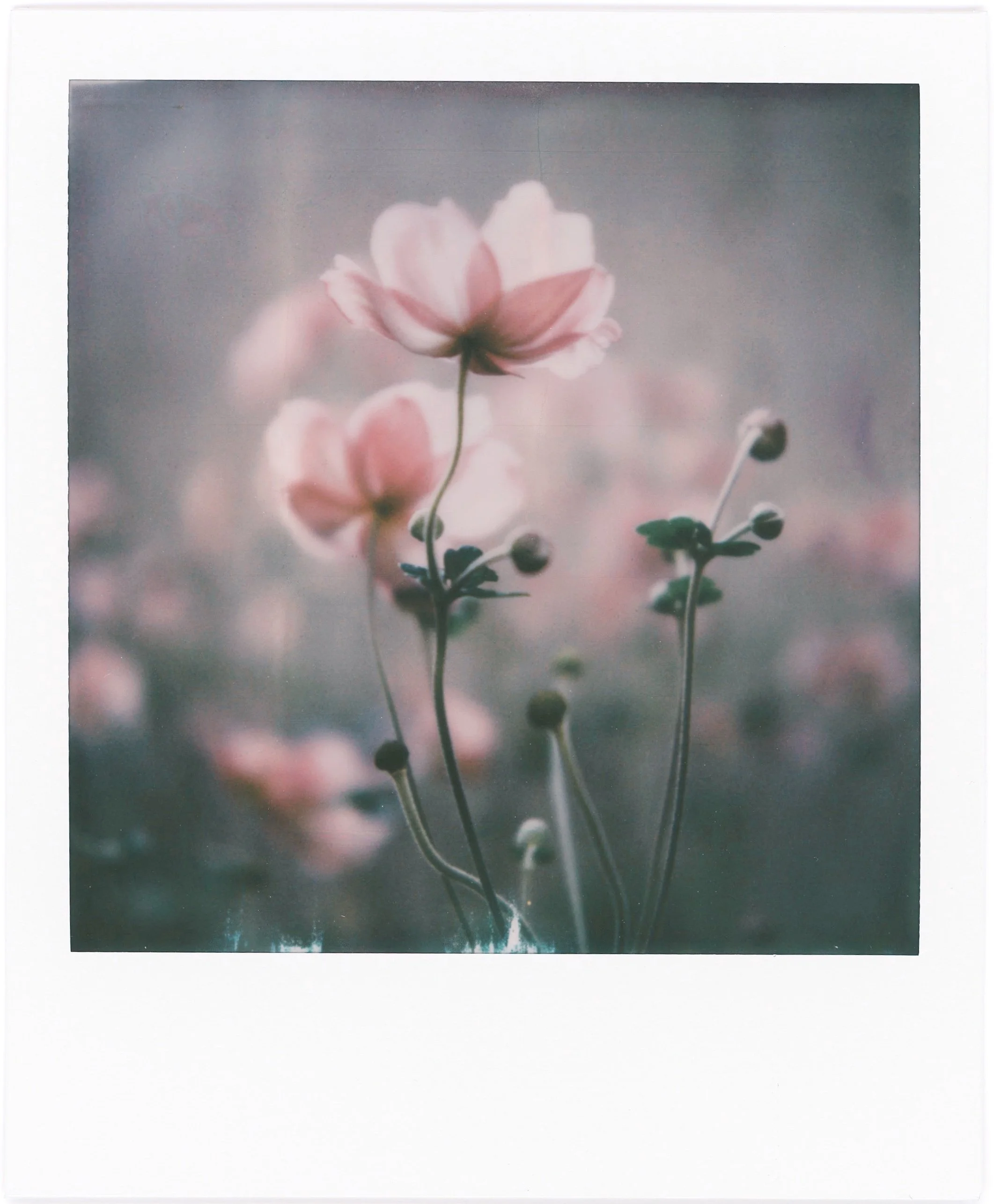 JPEG image-E101EDC3D897-1.jpeg