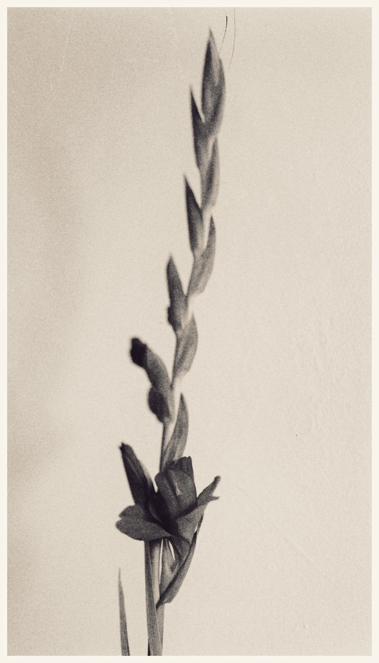 JPEG image-4E49-AC76-40-0.jpeg