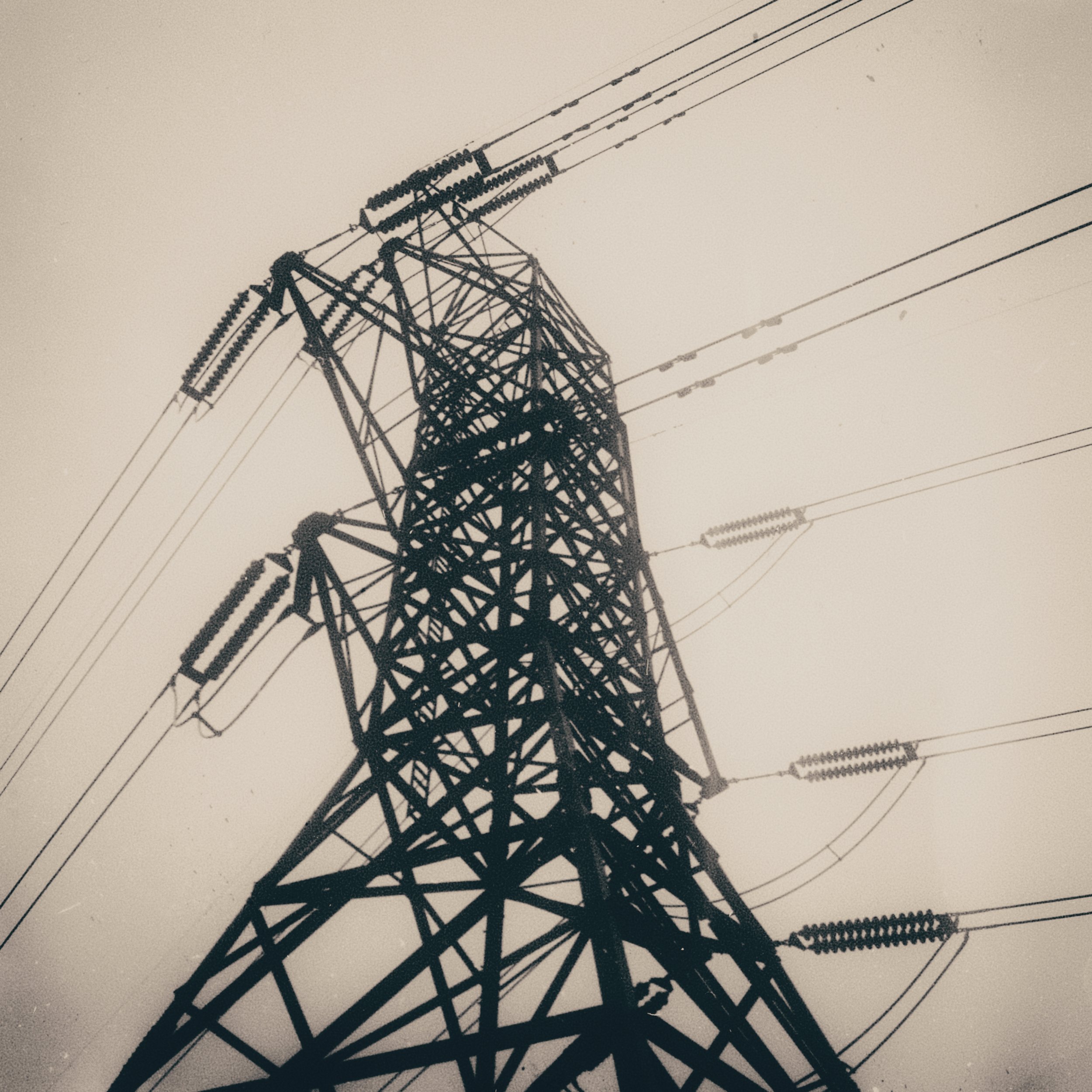 IMG_8394.jpeg