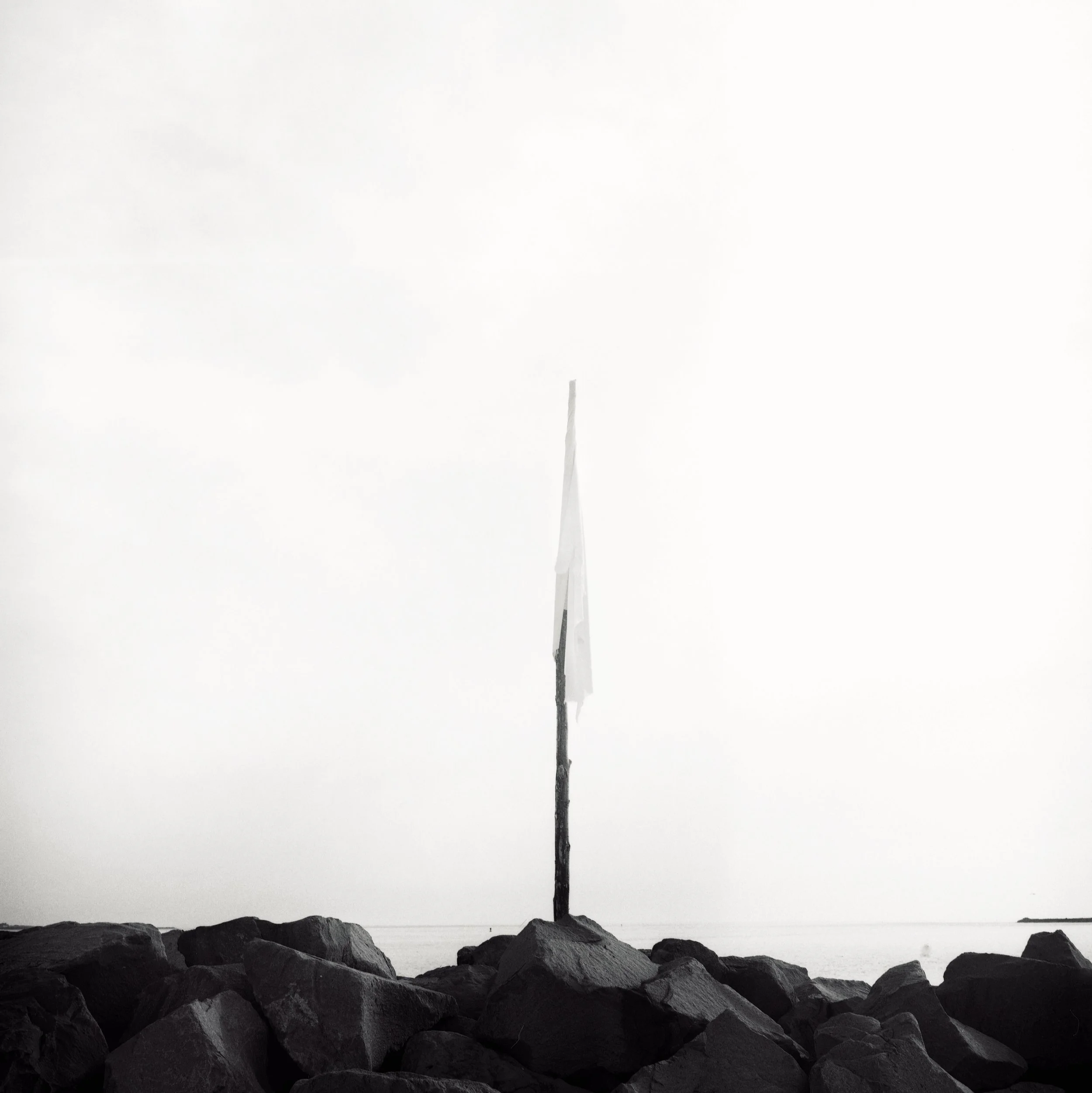 JPEG image-80F33D833E93-1.jpeg