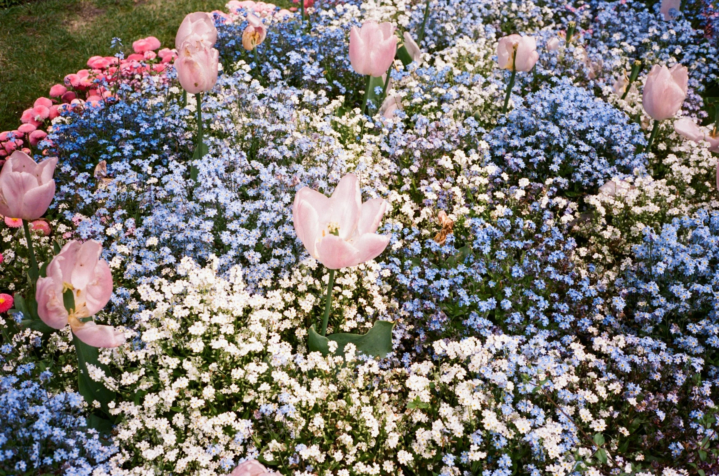 Replenish26_Imagery-01.jpg
