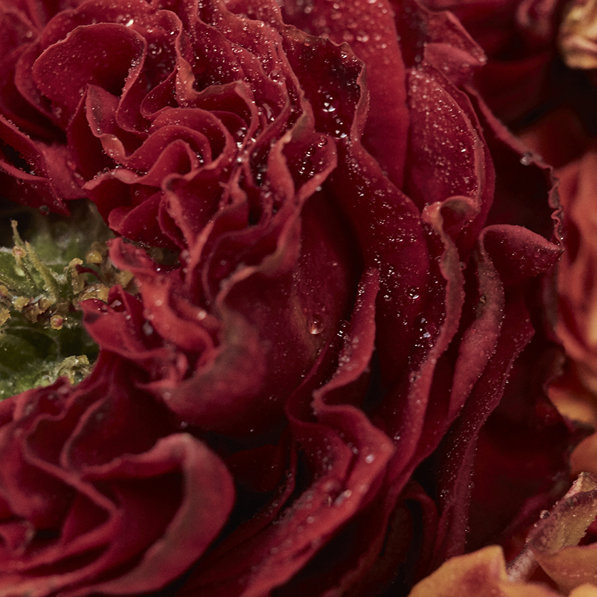 leur logette_top.JPG